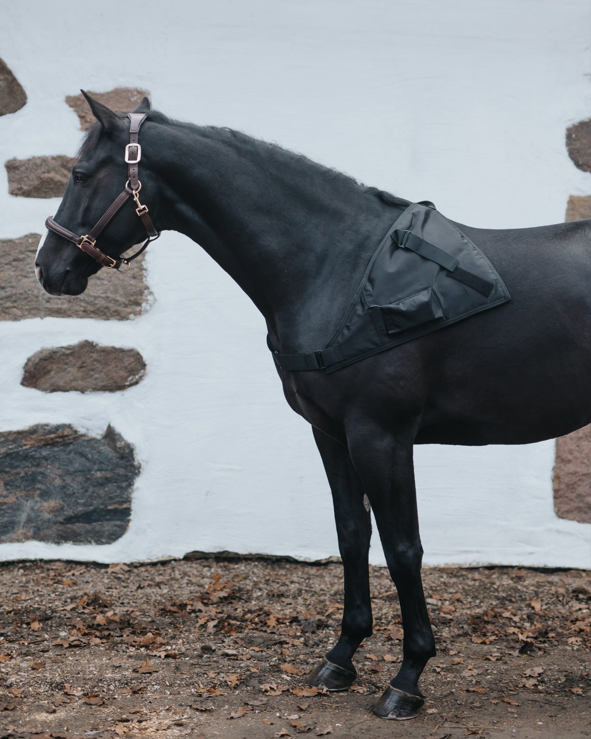 Stifle Wrap | Red and infrared LED treatment system for horses