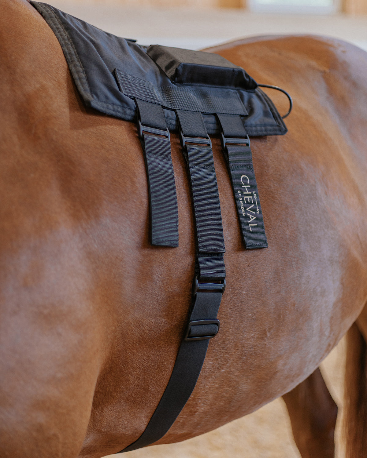 Wrap108 | Red and infrared LED treatment system for horses