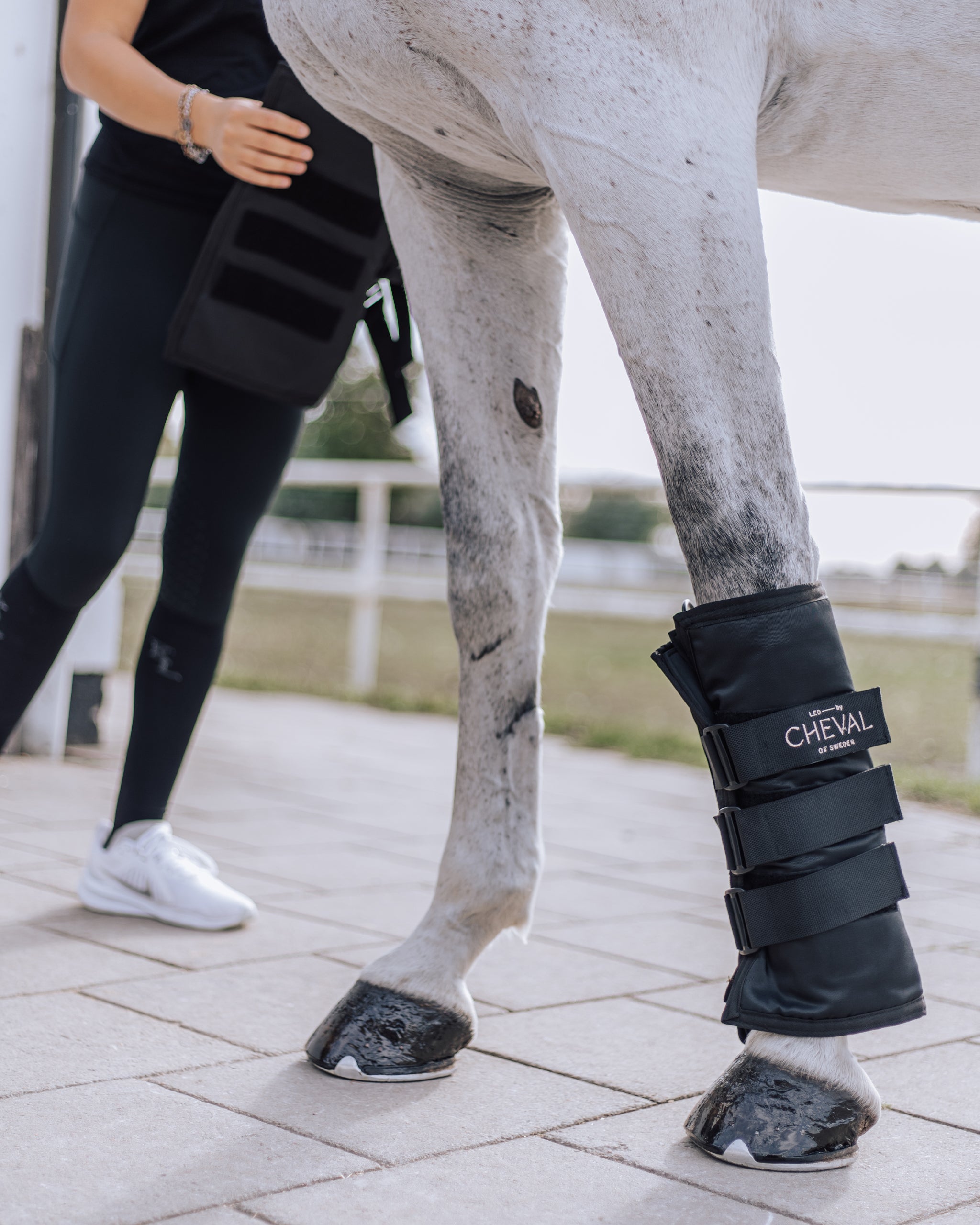 Wrap108 | Red and infrared LED treatment system for horses