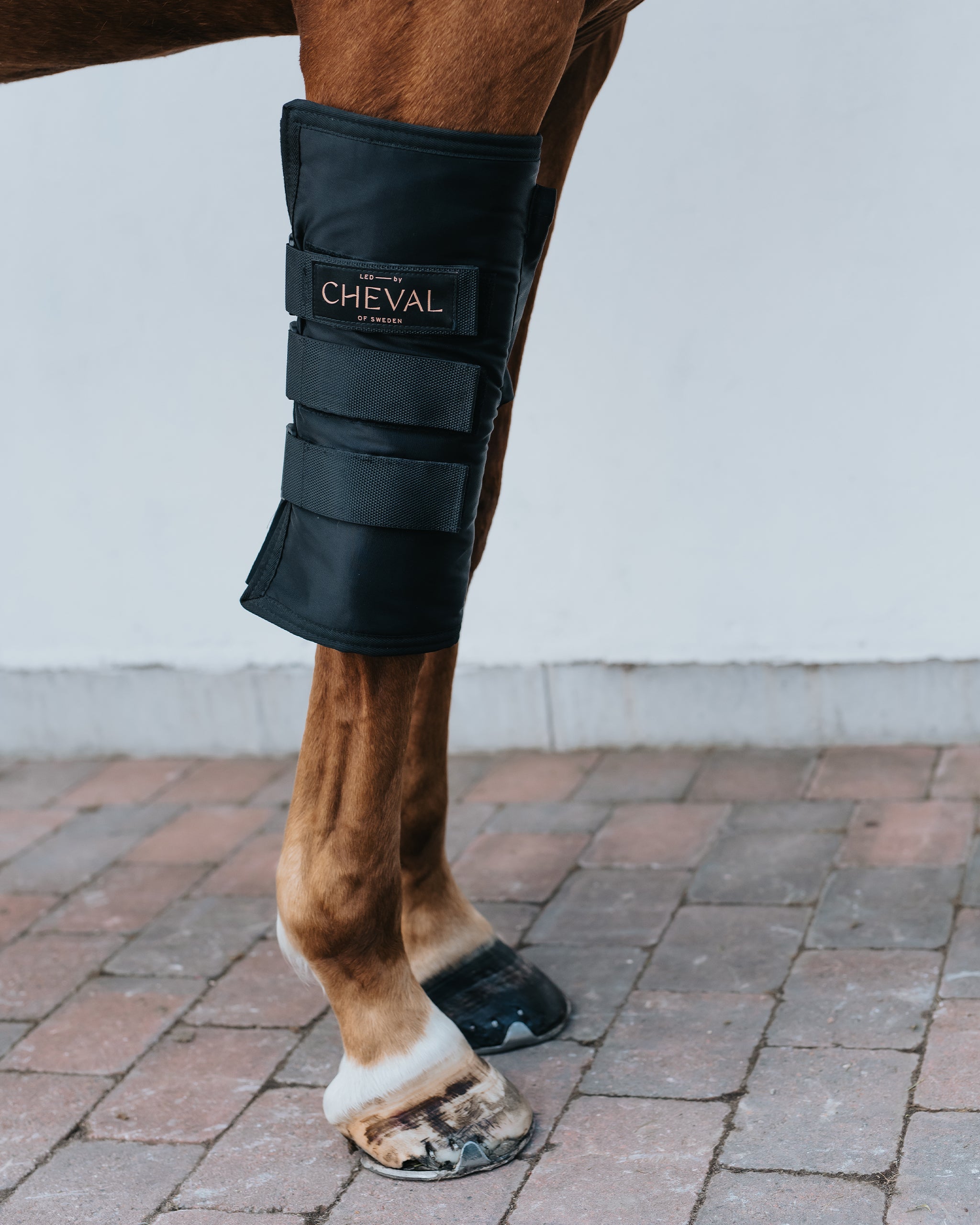 Wrap108 | Red and infrared LED treatment system for horses