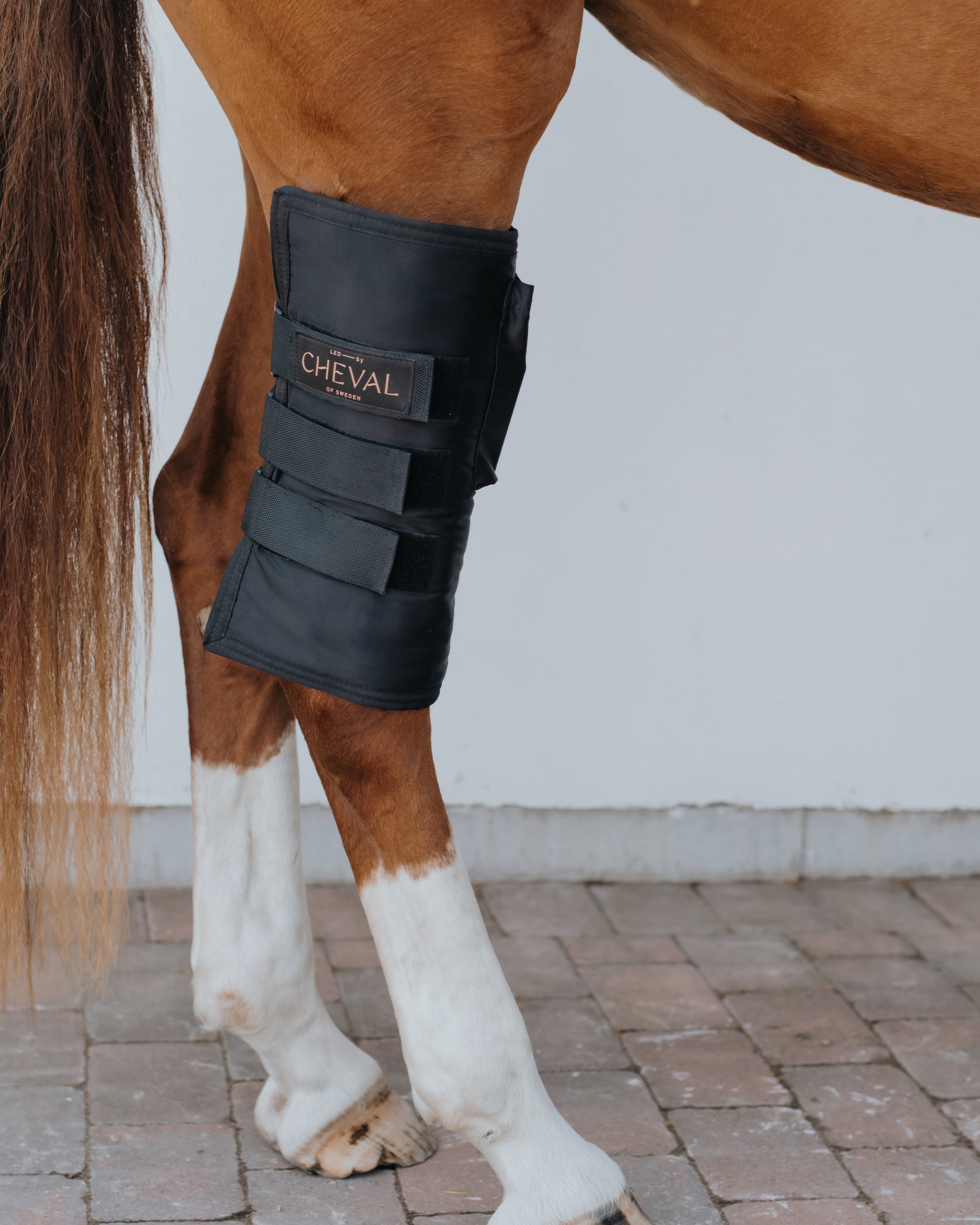 Wrap108 | Red and infrared LED treatment system for horses