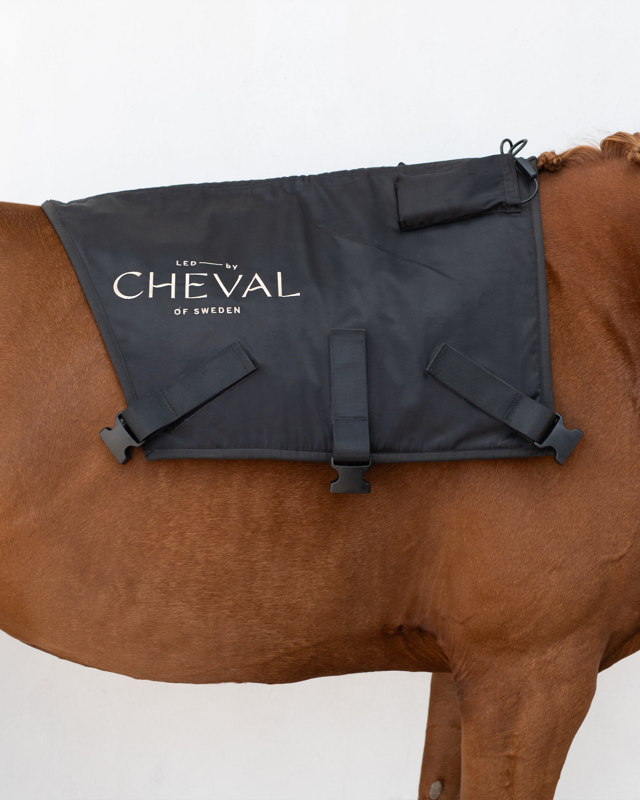 Pad | Red and infrared LED treatment system for horses