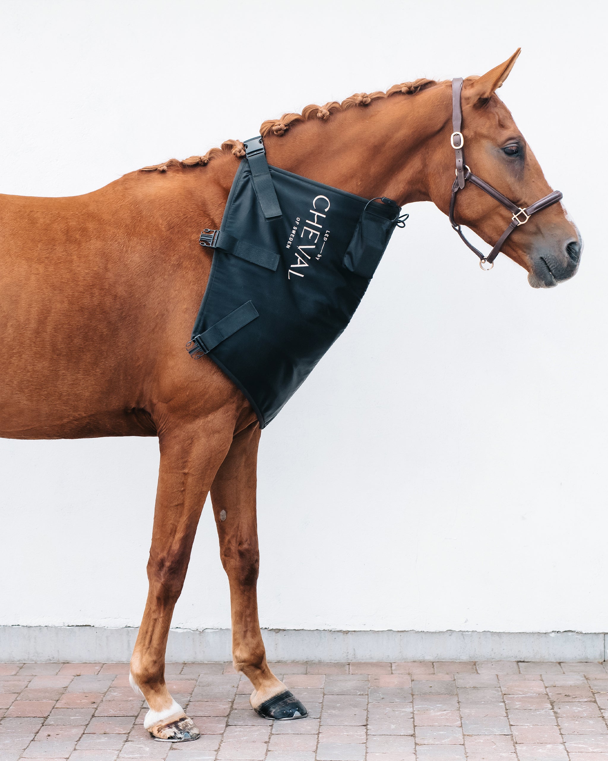 Pad | Red and infrared LED treatment system for horses