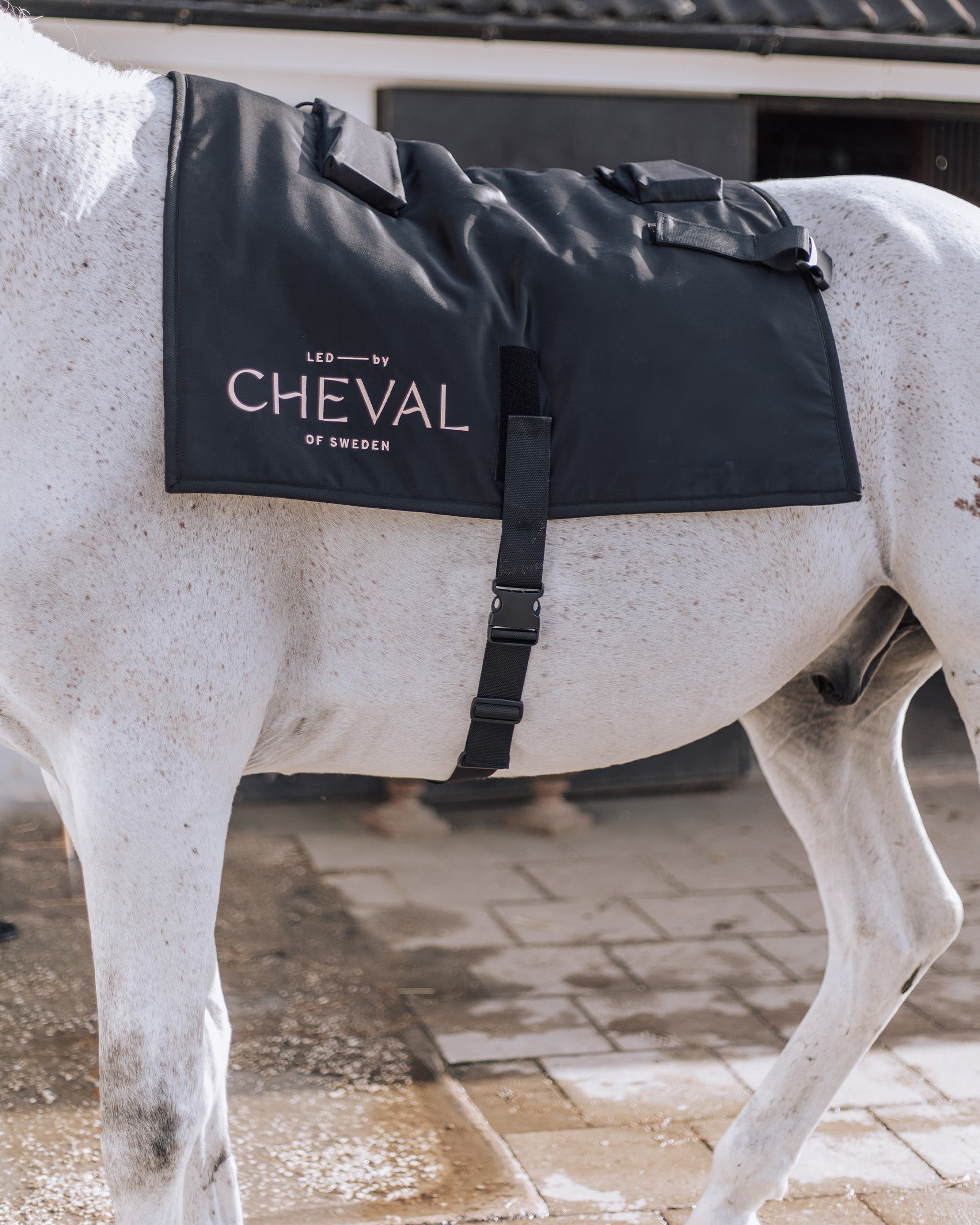 Sheet | Red and infrared LED treatment system for horses