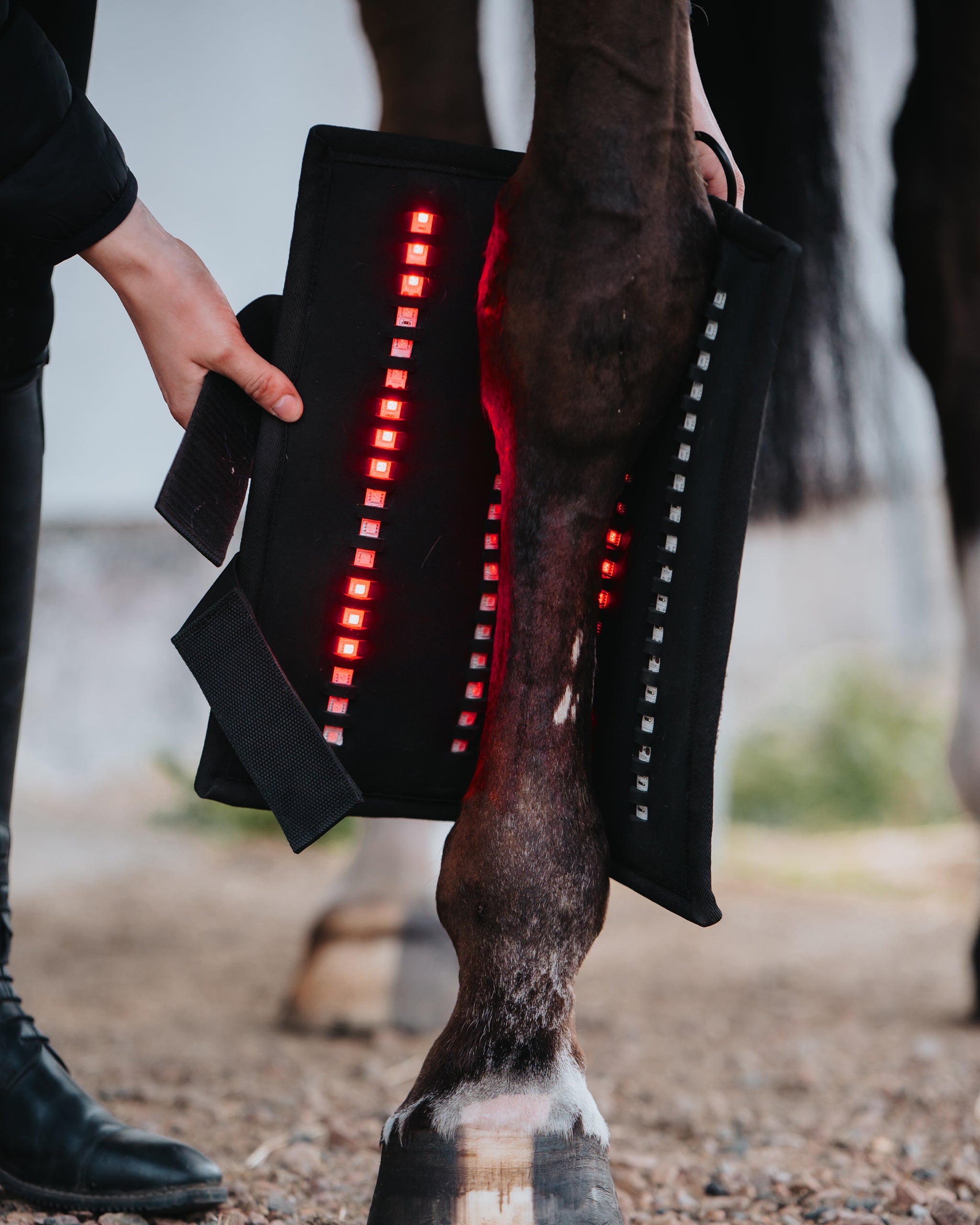 LED Wrap 72