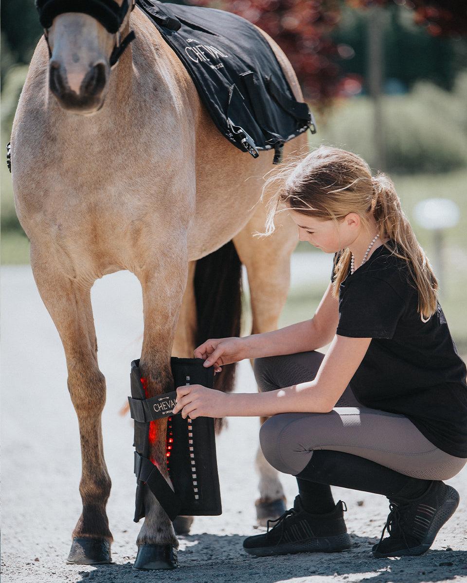 Wrap72 | Red and infrared LED treatment system for horses