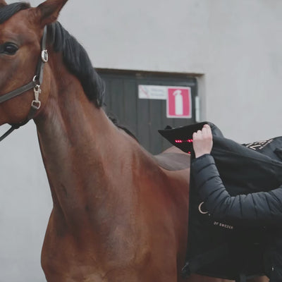 LED by CHEVAL Pad Application