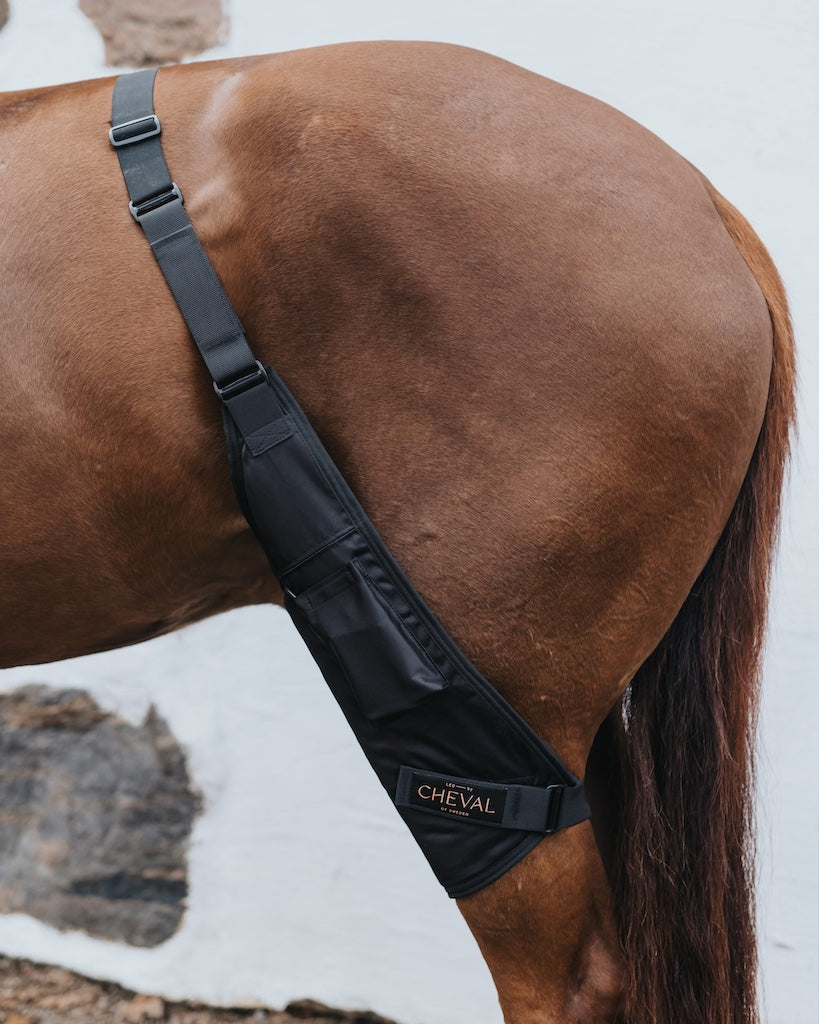Stifle Wrap fitted over a horse's hindquarter, strap running across the back