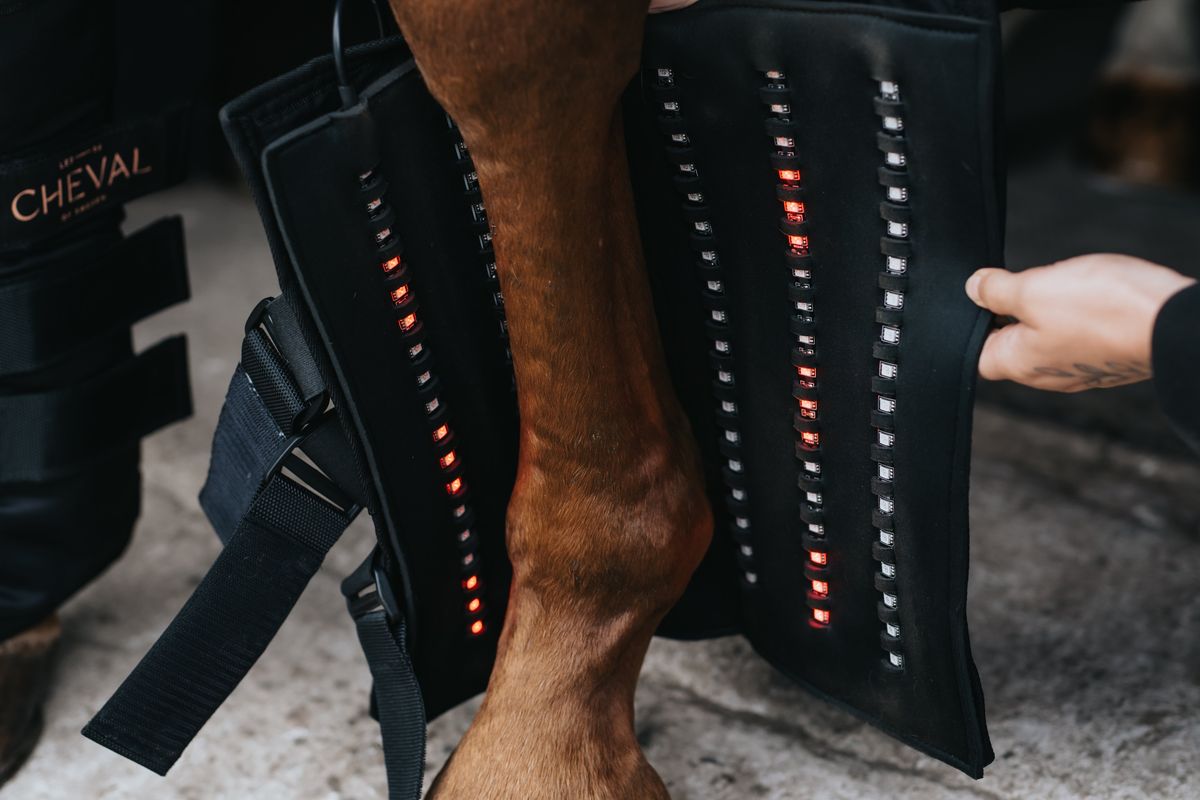 A horse's lower leg wrapped in an LED by CHEVAL Wrap72