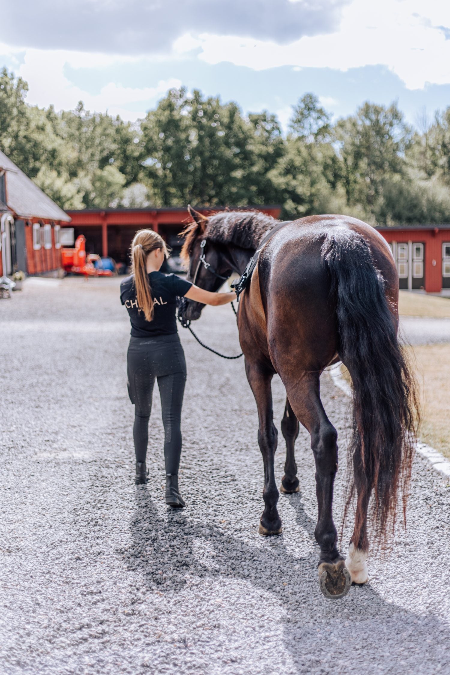 A handler leading a horse across a stable yard