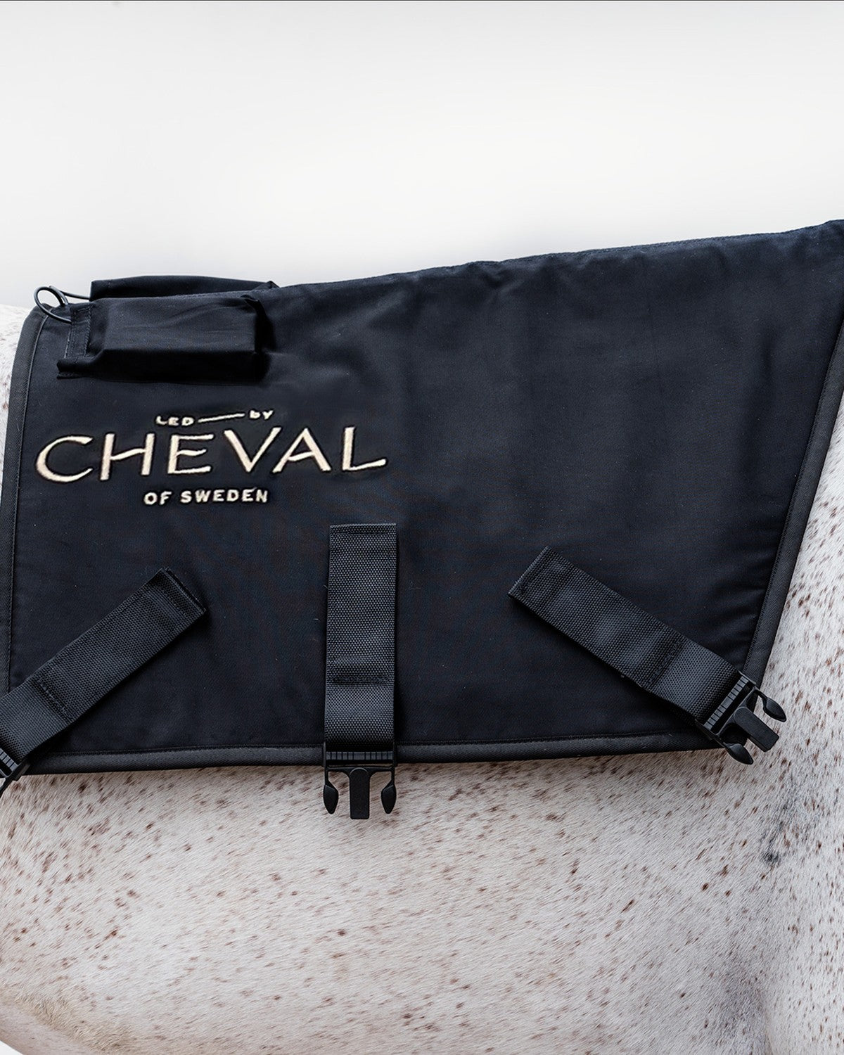 The LED by CHEVAL Pad fitted on the topline of a horse