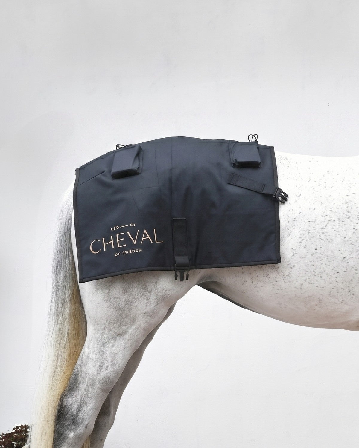 The LED by CHEVAL Sheet fitted on the hindquarters of a horse