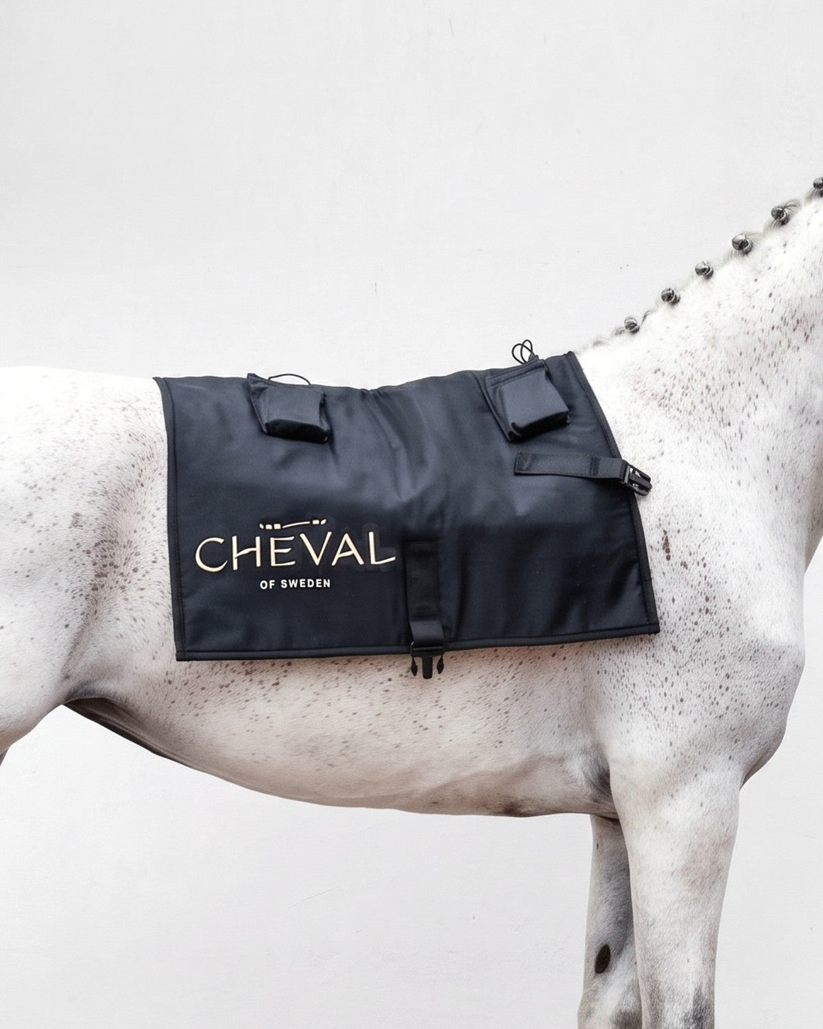 The LED by CHEVAL Sheet fitted on the topline of a horse