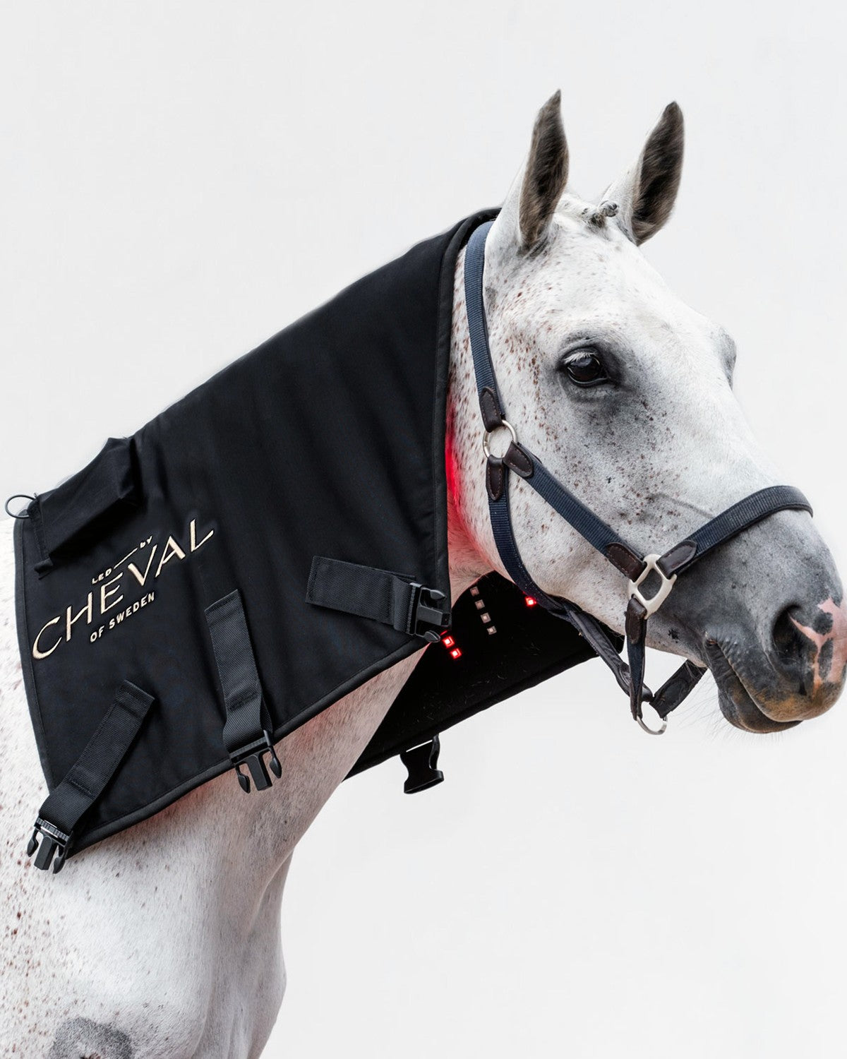 The LED by CHEVAL Pad fitted on the neck and poll of a horse