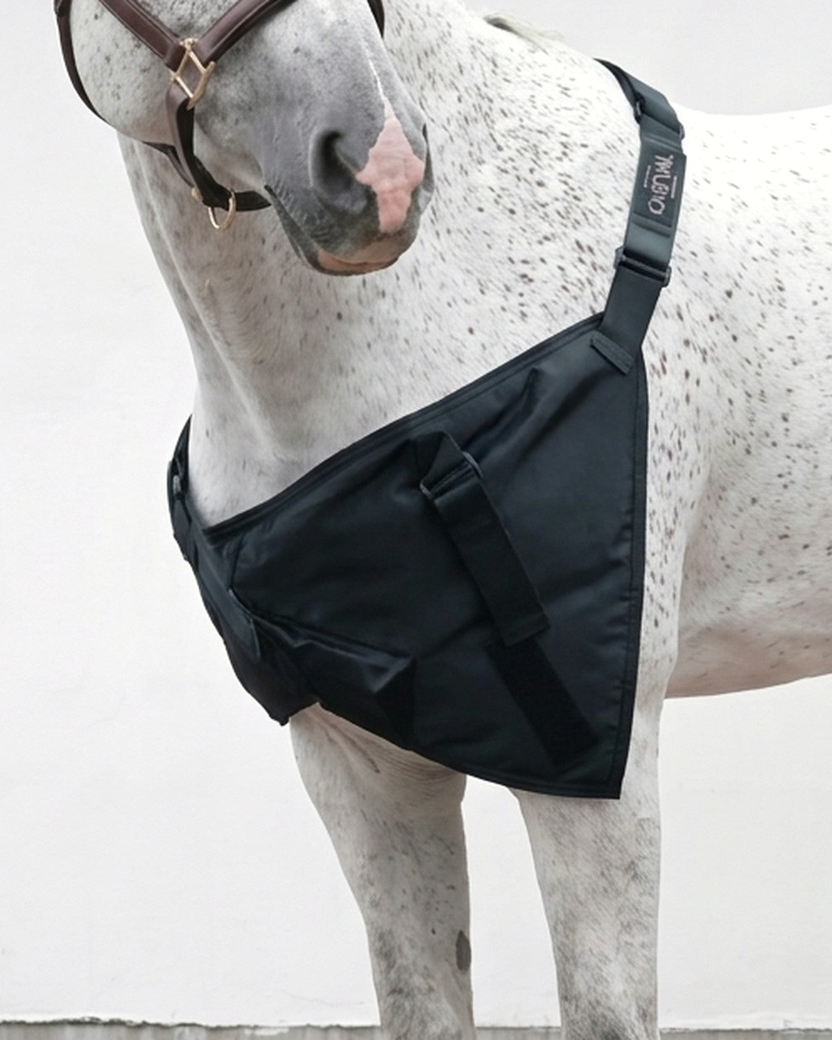 The LED by CHEVAL Stifle Wrap fitted on the chest and shoulders of a horse