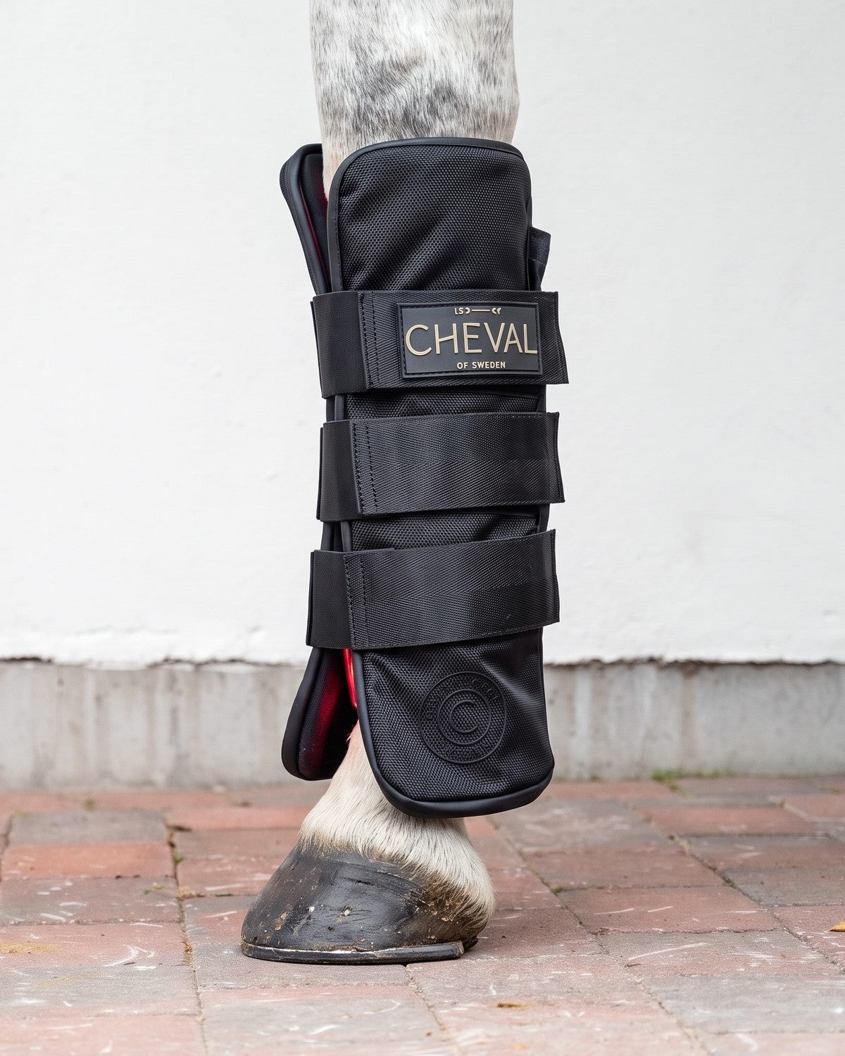 The LED by CHEVAL Wrap108 fitted on the legs of a horse