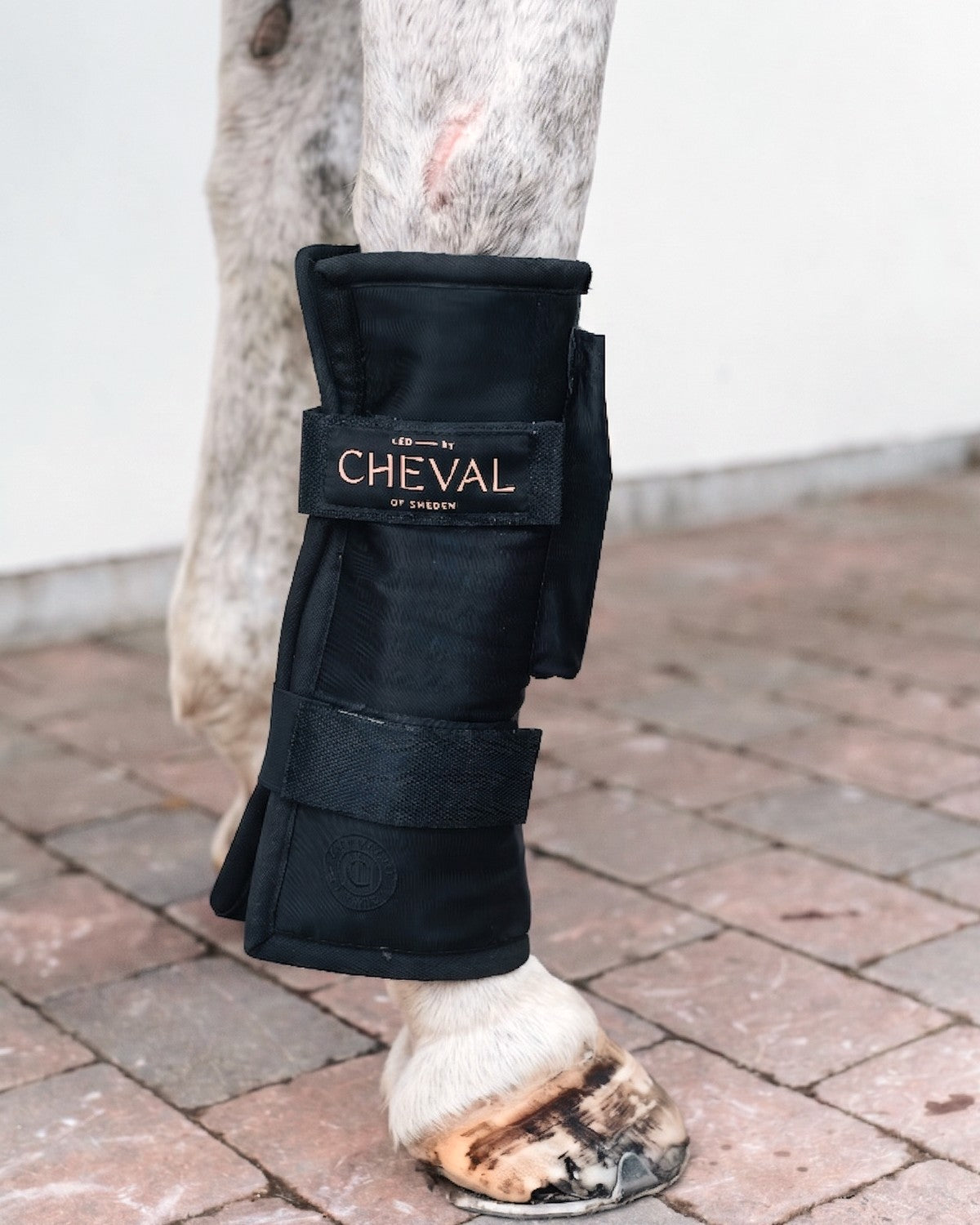 The LED by CHEVAL Wrap72 fitted on the legs of a horse
