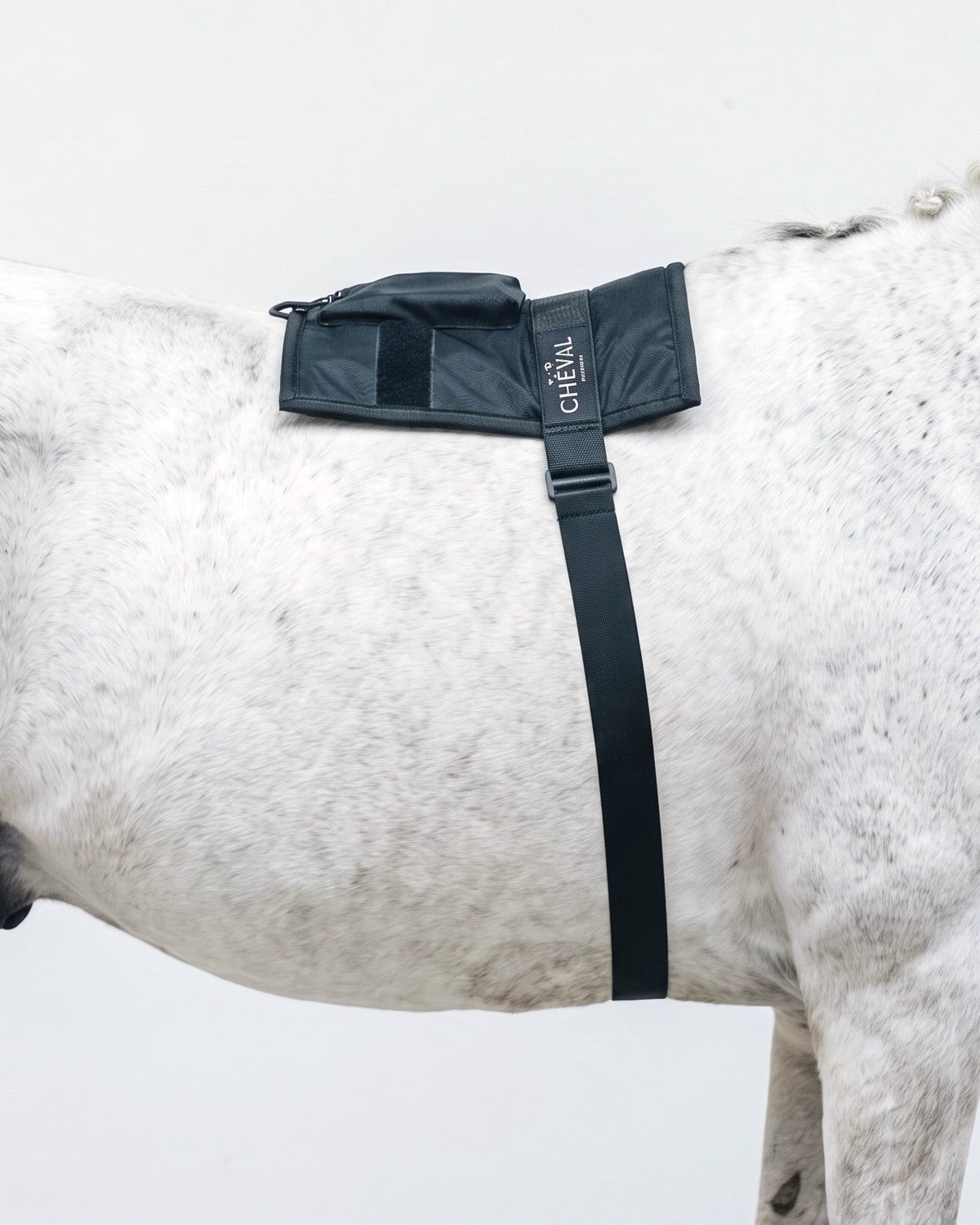 The LED by CHEVAL Wrap72 fitted on the topline of a horse
