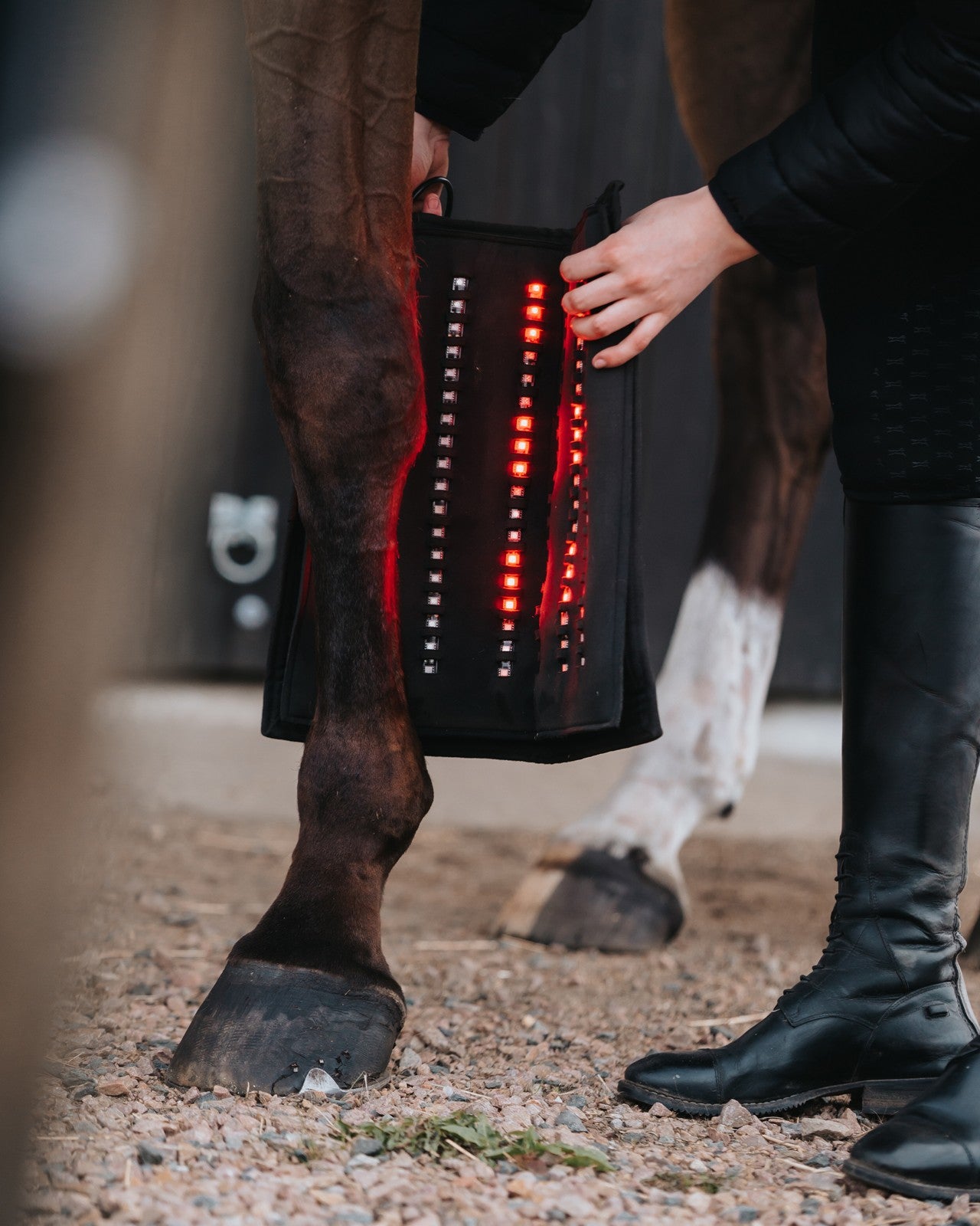 A leg wrap held open beside a horse's foreleg, with some rows of LEDs lit red and others dark