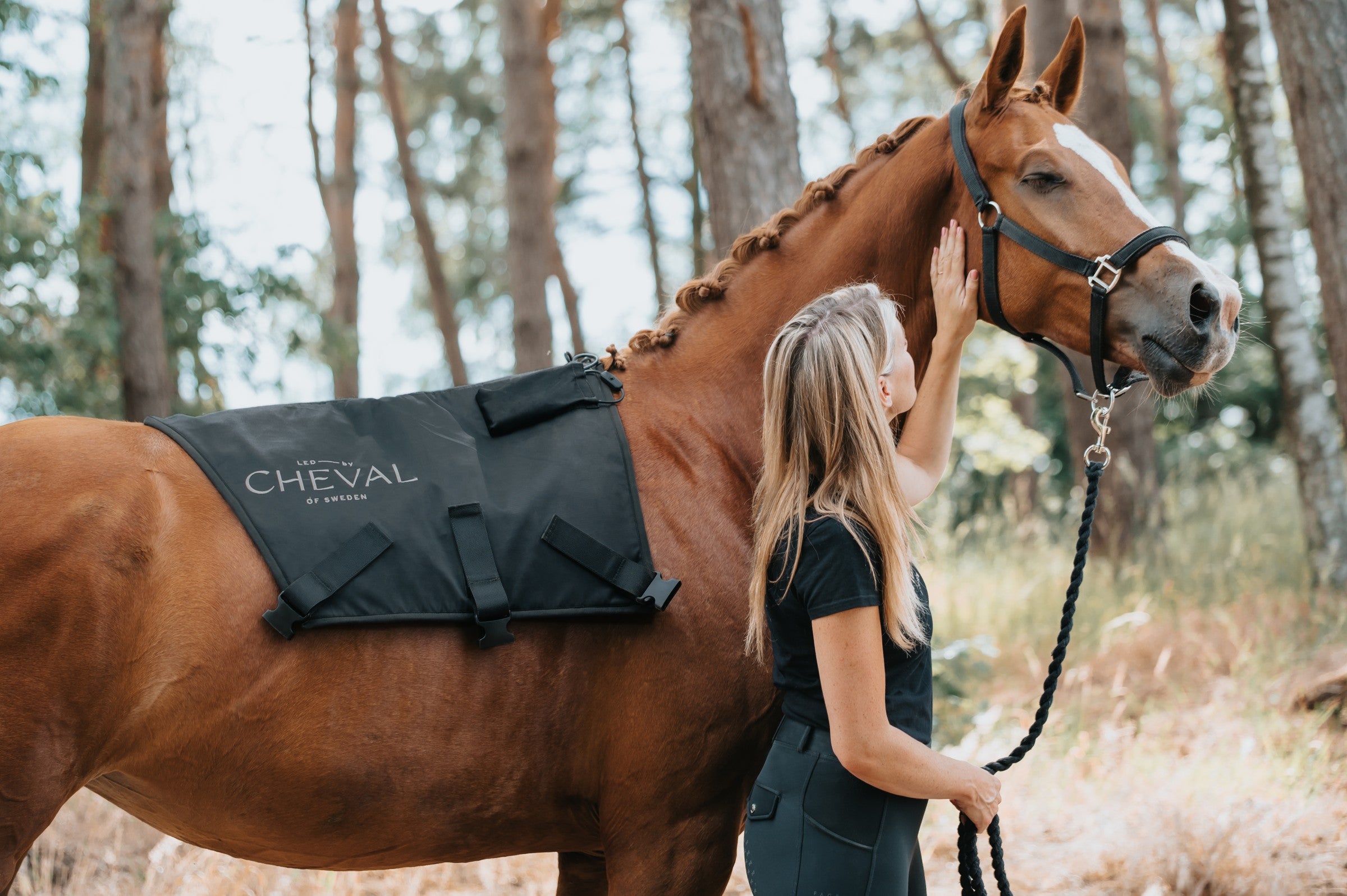 A horse in a forest wearing an LED by CHEVAL system, with a handler at its head