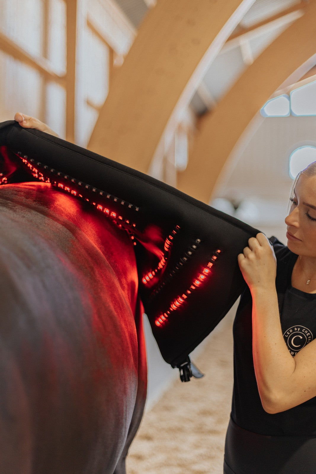 A large LED pad lifted away from a horse's back, showing the LED straps set into the fabric
